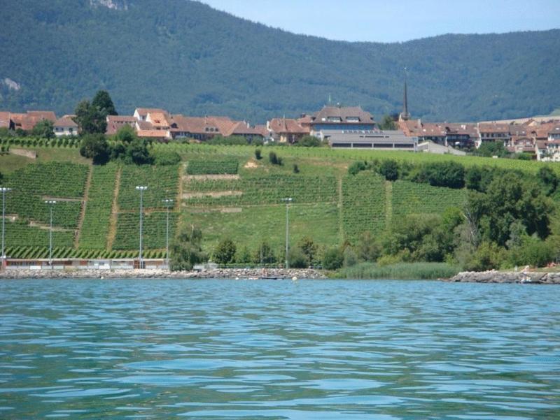 Hotel Restaurant Le Chalet Cortaillod Luaran gambar